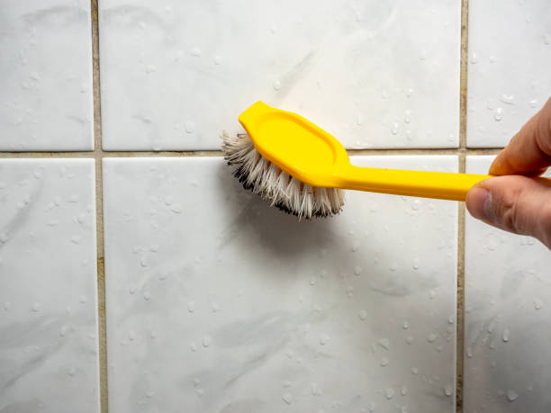 Best Home Mold Removal  in Weed, CA