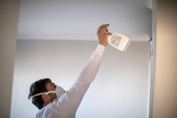 Best Mold Removal Company Near Me  in Weed, CA