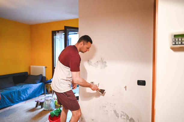 Best Water Damage Restoration  in Weed, CA