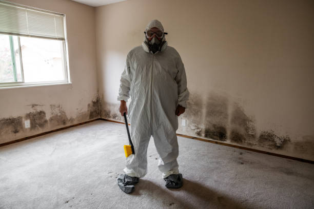 Best Same-Day Mold Removal  in Weed, CA